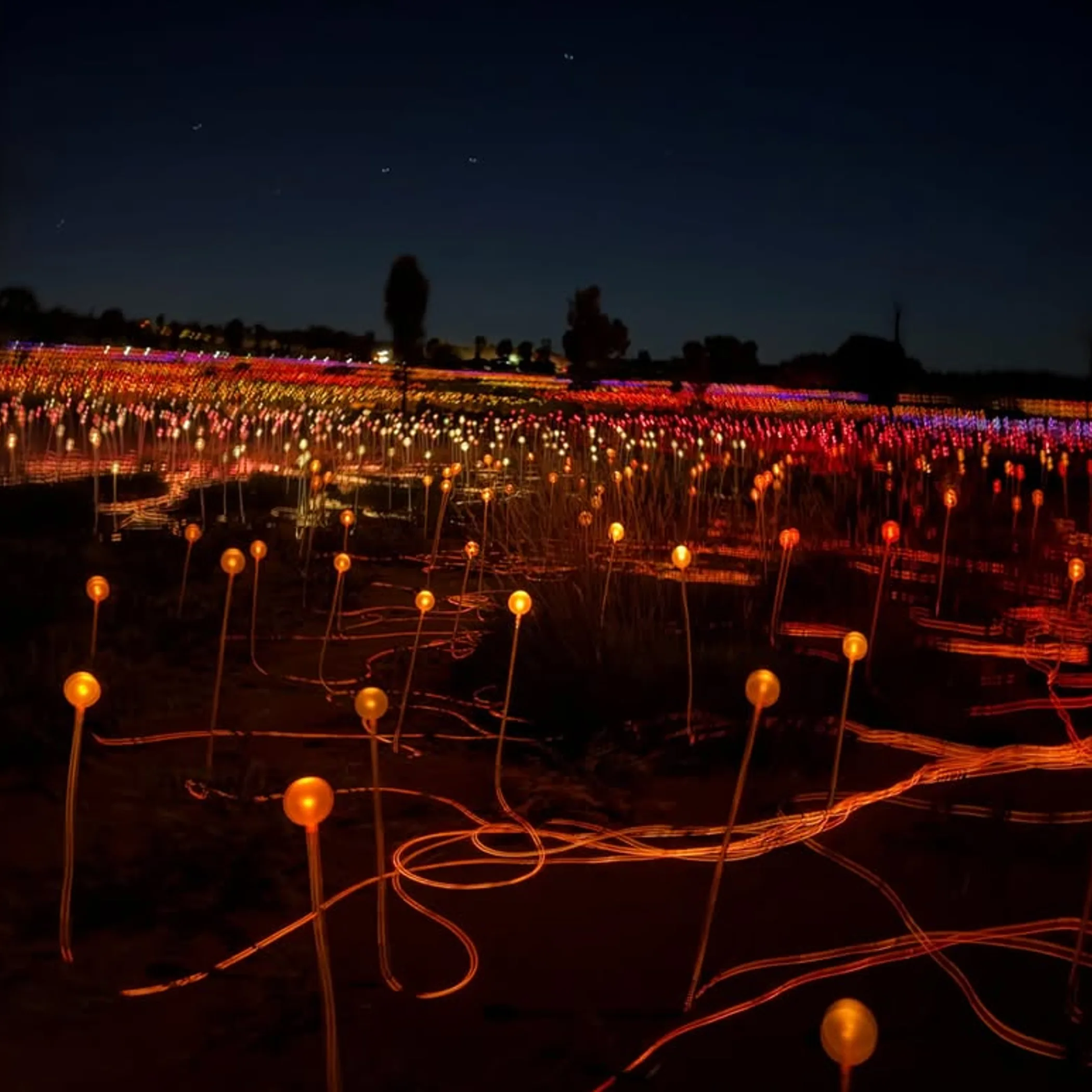 uluru illuminated at night