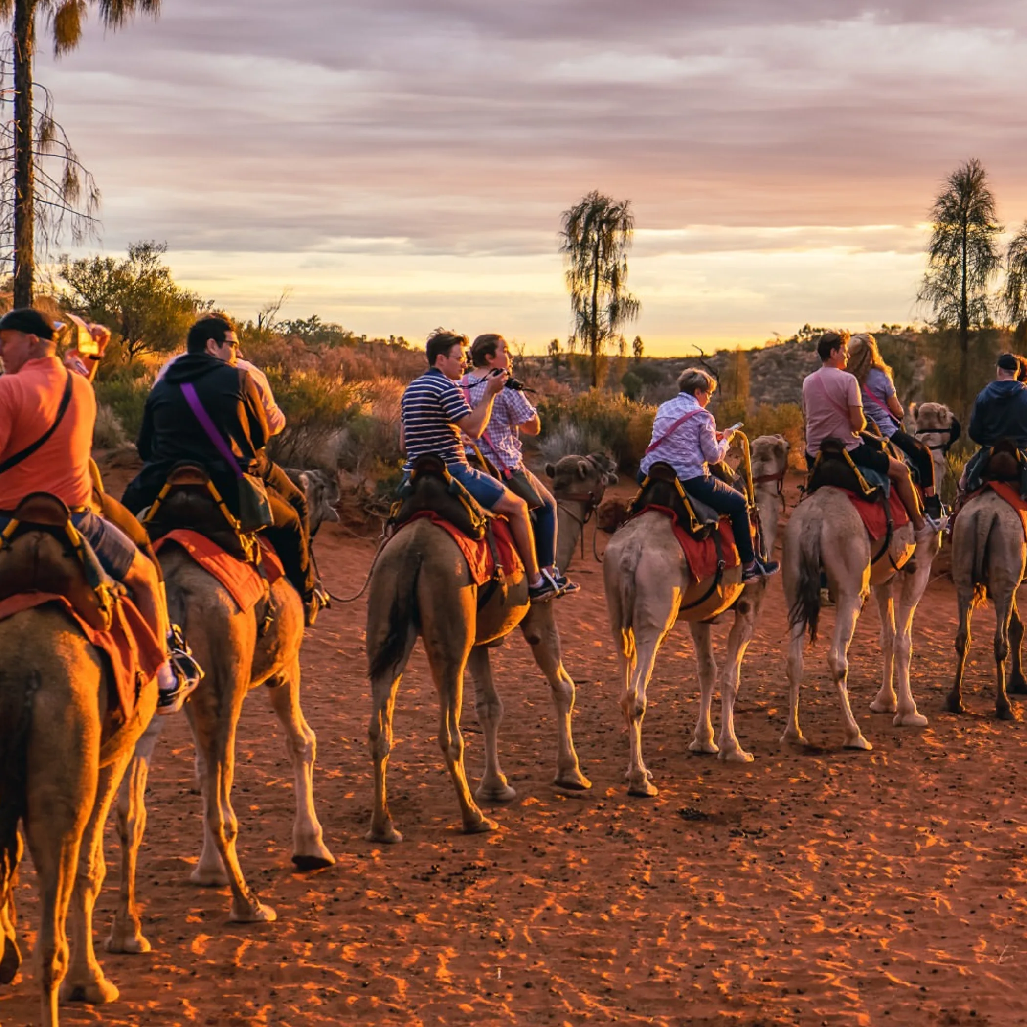 camel ride near uluru rock formation