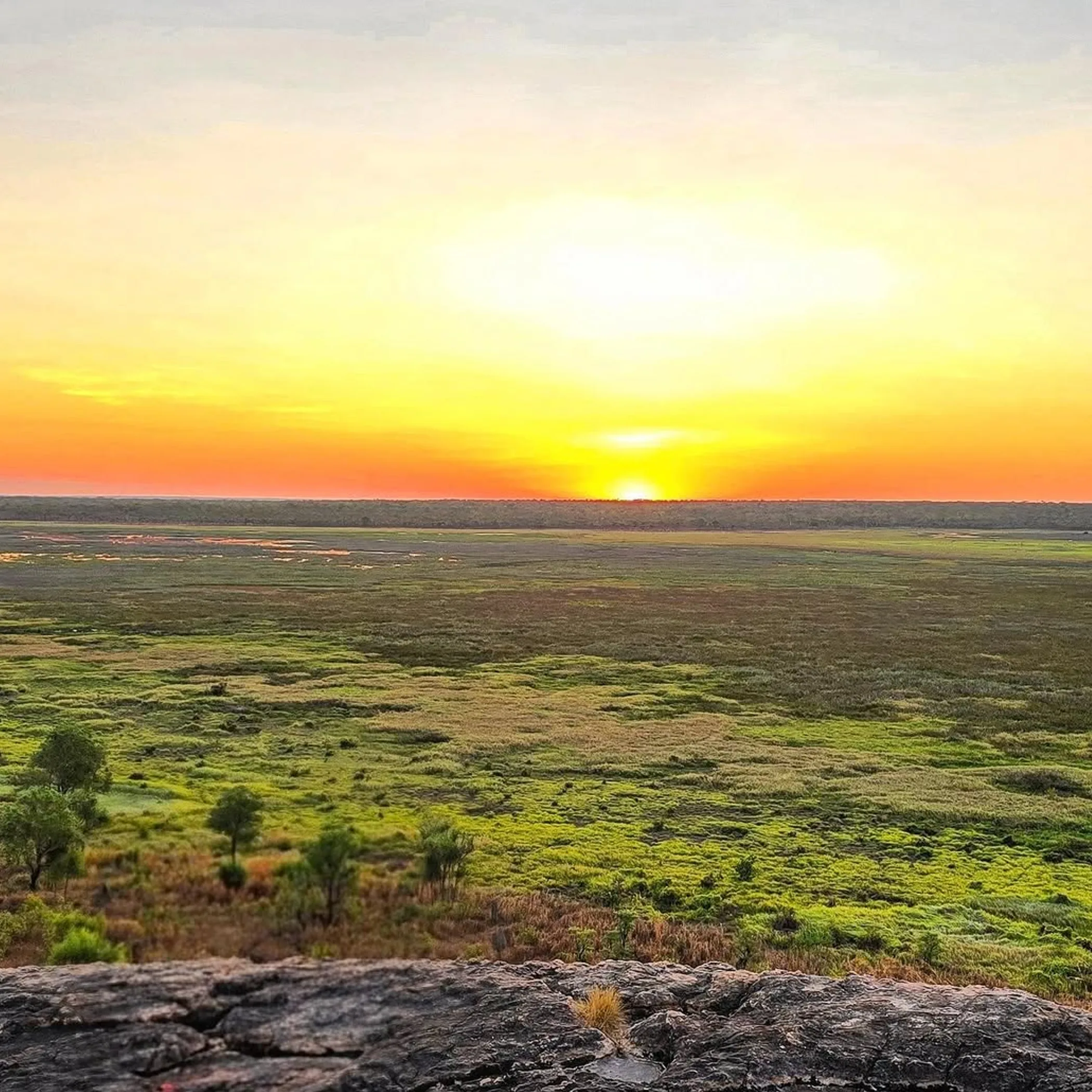 kakadu sunset landscape with trees