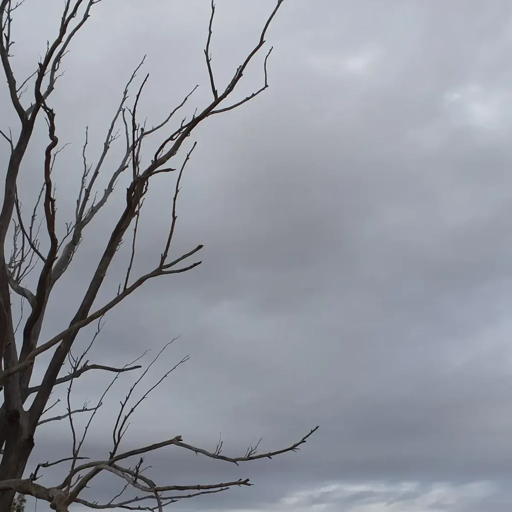 Working At Heights Regulations Australia 2026: What has changed