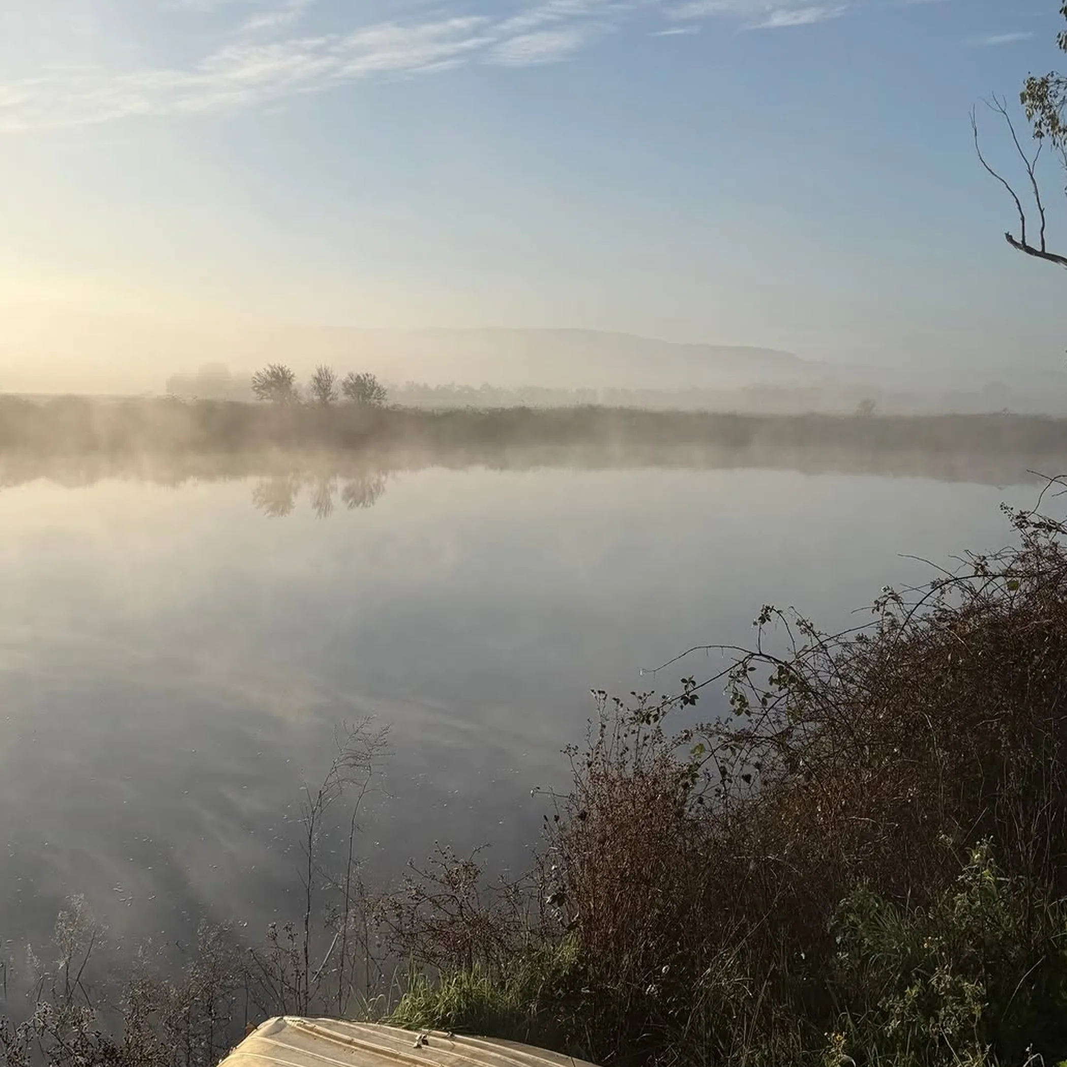 misty dam at yarra valley wine estate